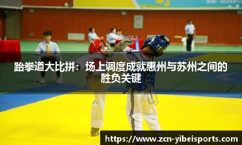 易倍体育(emc)APP